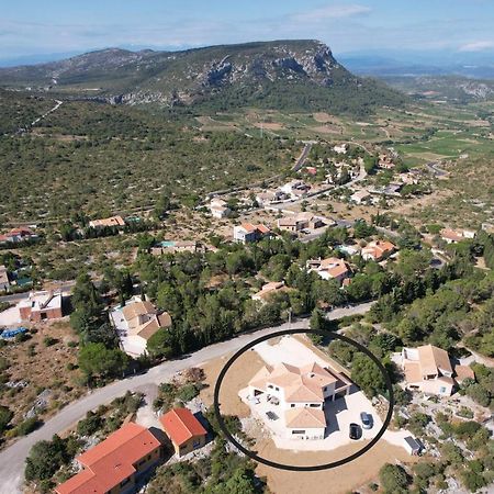 Trois Appartements Au Sein Du Mas Jams - Le Gouleyrous, Le Canigou Et Le Figarassa Vingrau エクステリア 写真