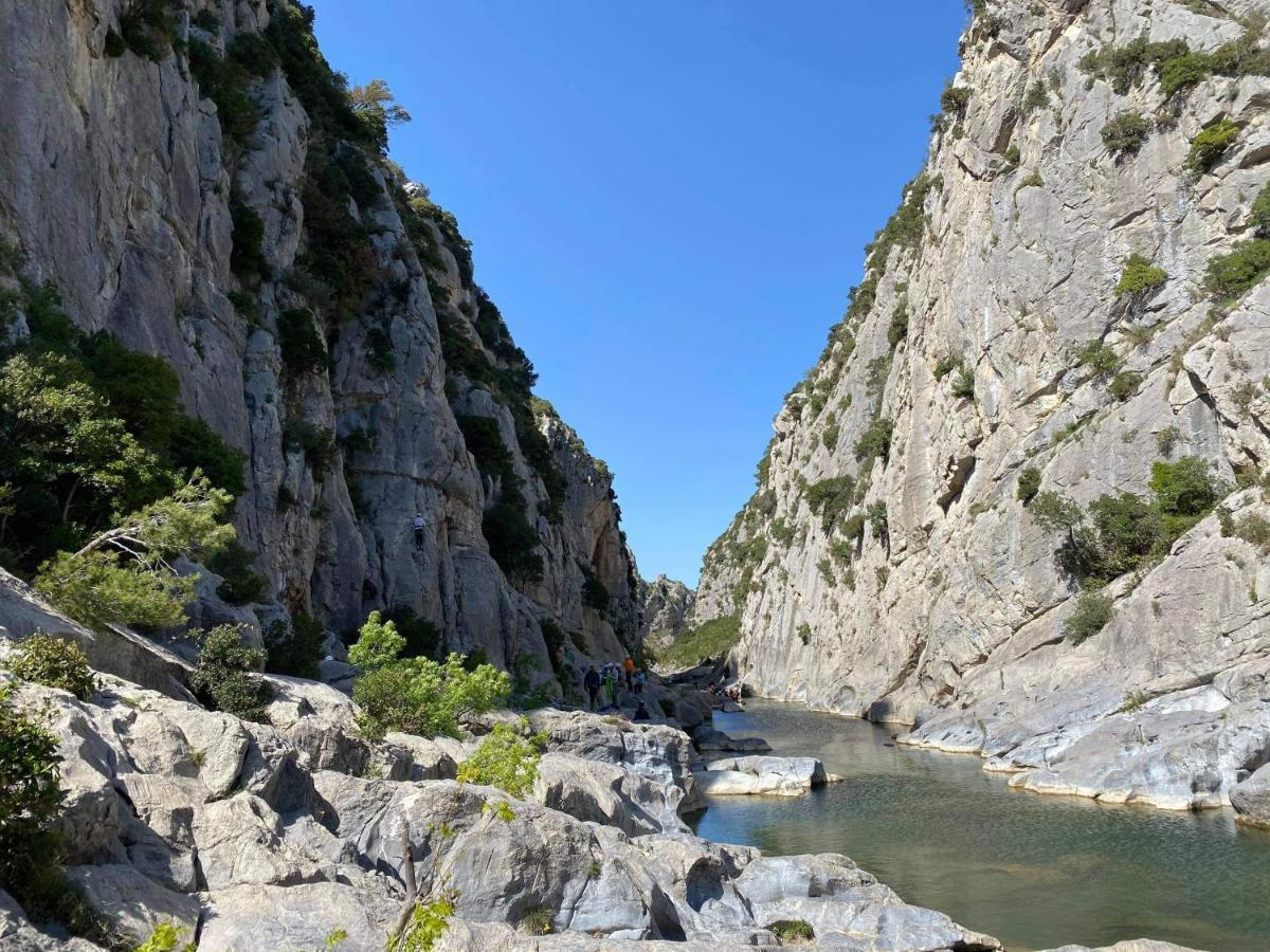 Trois Appartements Au Sein Du Mas Jams - Le Gouleyrous, Le Canigou Et Le Figarassa Vingrau エクステリア 写真